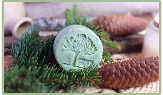 Oasis mentholée ❀