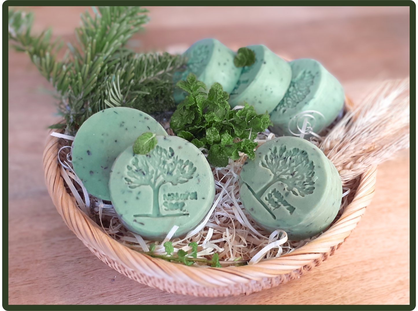 Oasis mentholée ❀