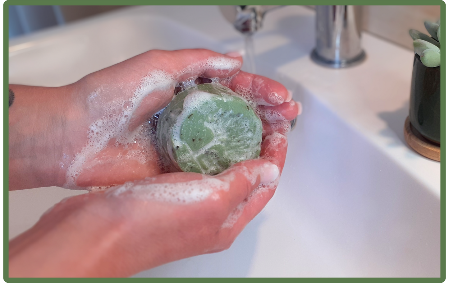 Oasis mentholée ❀